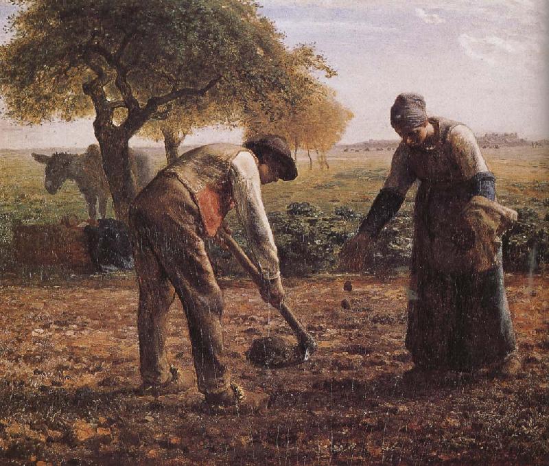 Jean Francois Millet Sower France oil painting art